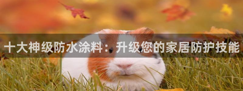 和记国际听：十大神级防水涂料：升级您的家居防护技能
