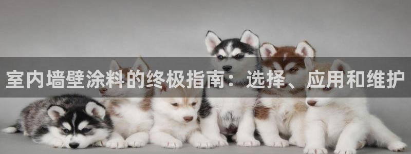 和记官方直营注册：室内墙壁涂料的终极指南：选择、应用和维护