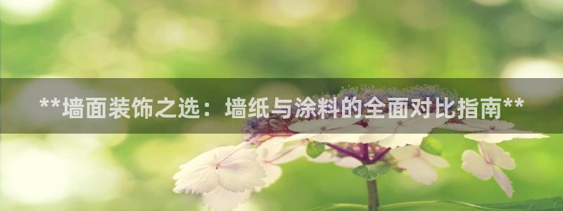 和记广告女主角：**墙面装饰之选：墙纸与涂料的全面对比指南**