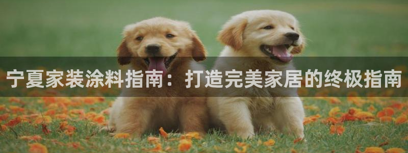 和记h188：宁夏家装涂料指南：打造完美家居的终极指南