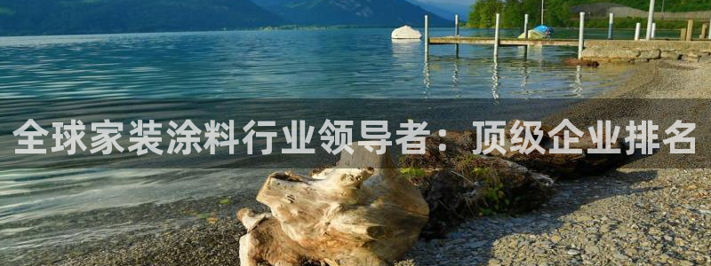 和记2017app：全球家装涂料行业领导者：顶级企业排名