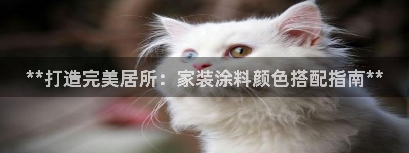 和记官方网址：**打造完美居所：家装涂料颜色搭配指南**