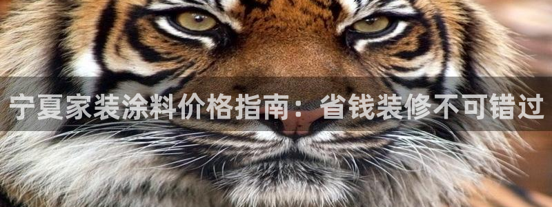 和记国际电讯市值：宁夏家装涂料价格指南：省钱装修不可错过