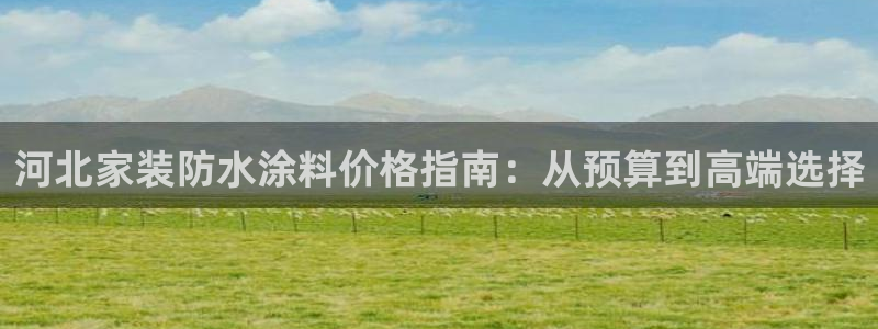 上海和记餐饮有限公司：河北家装防水涂料价格指南：从预算到高端选择