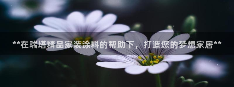 和记 中国官网：**在瑞塔精品家装涂料的帮助下，打造您的梦想家居**