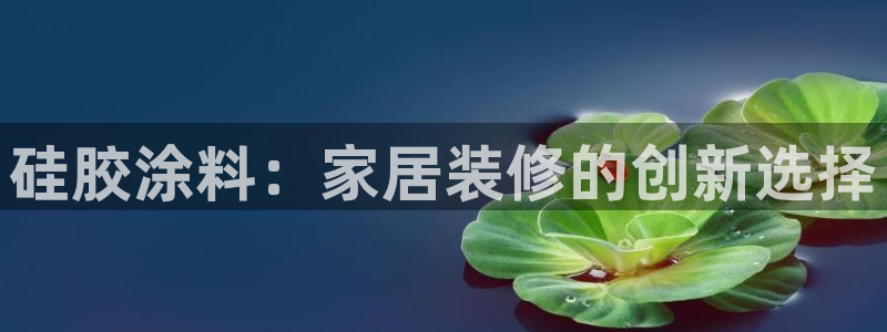 和记ag旗舰：硅胶涂料：家居装修的创新选择