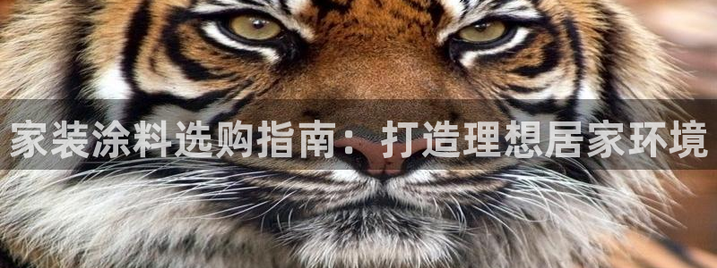 和记h88游戏