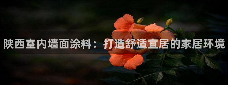 和记平台登陆：陕西室内墙面涂料：打造舒适宜居的家居环境