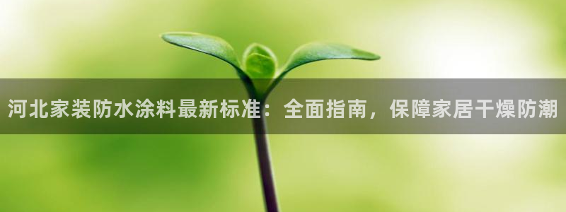 和记h88最新客户端下载：河北家装防水涂料最新标准：全面指南，保障家居干燥防潮