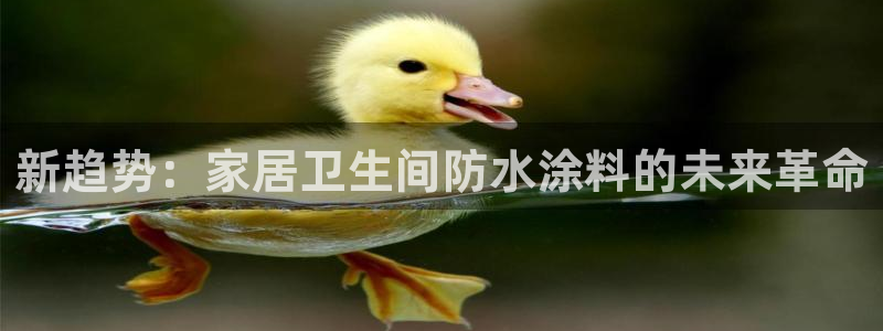 和记注册有什么送的：新趋势：家居卫生间防水涂料的未来革命