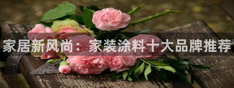 和记官方直营注册：家居新风尚：家装涂料十大品牌推荐