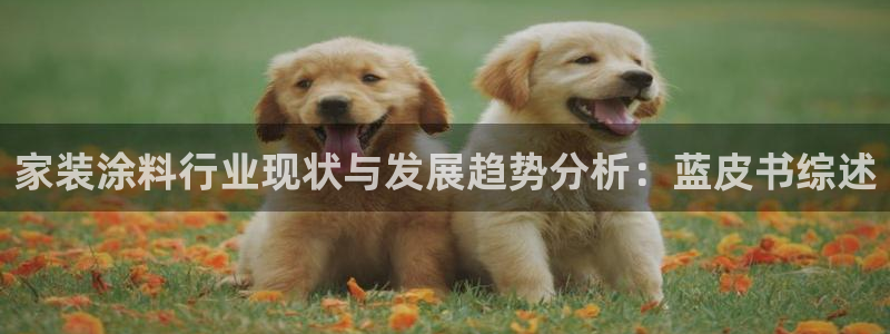 和记旗舰厅：家装涂料行业现状与发展趋势分析：蓝皮书综述