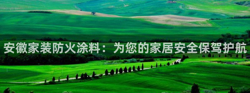 和记AG旗舰：安徽家装防火涂料：为您的家居安全保驾护航