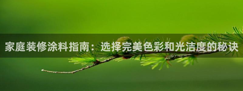 和记官网官方网站：家庭装修涂料指南：选择完美色彩和光洁度的秘诀