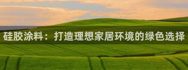 和记平台官网：硅胶涂料：打造理想家居环境的绿色选择