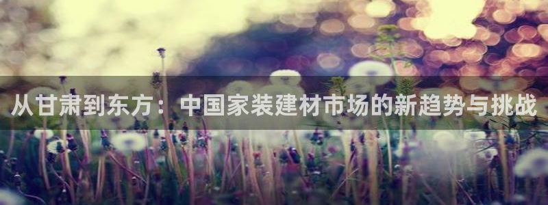 和记官网首页：从甘肃到东方：中国家装建材市场的新趋势与挑战