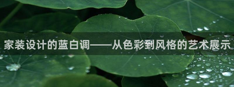 和记国际开户：家装设计的蓝白调——从色彩到风格的艺术展示