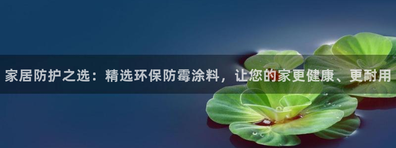 和记ag旗舰厅：家居防护之选：精选环保防霉涂料，让您的家更健康、更耐用
