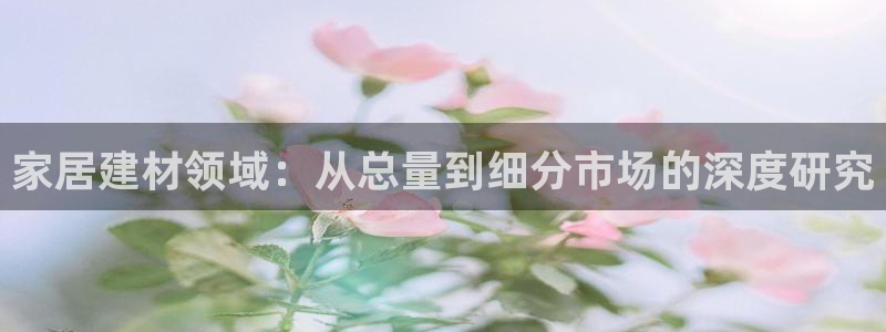 和记港口：家居建材领域：从总量到细分市场的深度研究