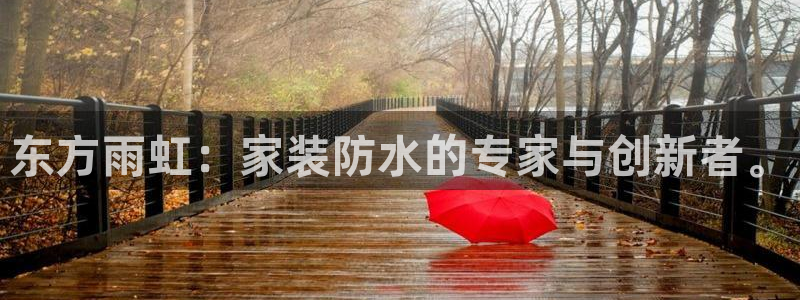 和记下载：东方雨虹：家装防水的专家与创新者。