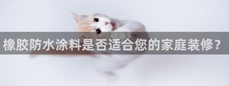 和记港口