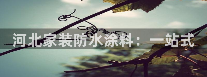 和记app官网登录