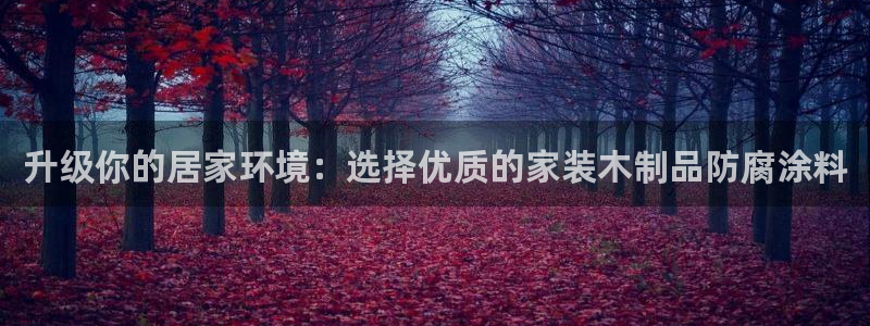 和记官网登录：升级你的居家环境：选择优质的家装木制品防腐涂料