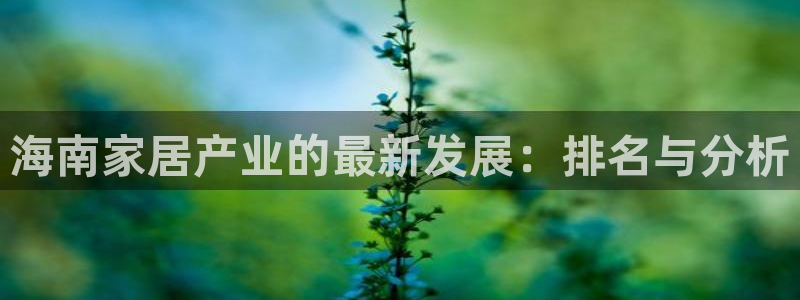 和记AG：海南家居产业的最新发展：排名与分析