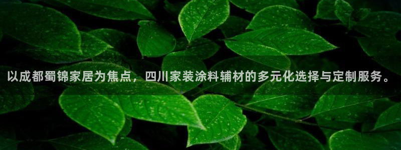 和记国际开户：以成都蜀锦家居为焦点，四川家装涂料辅材的多元化