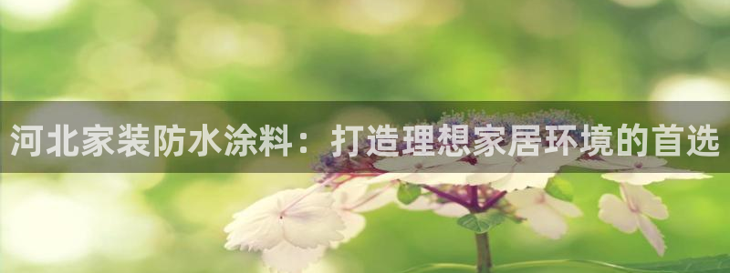 和记官方网站：河北家装防水涂料：打造理想家居环境的首选