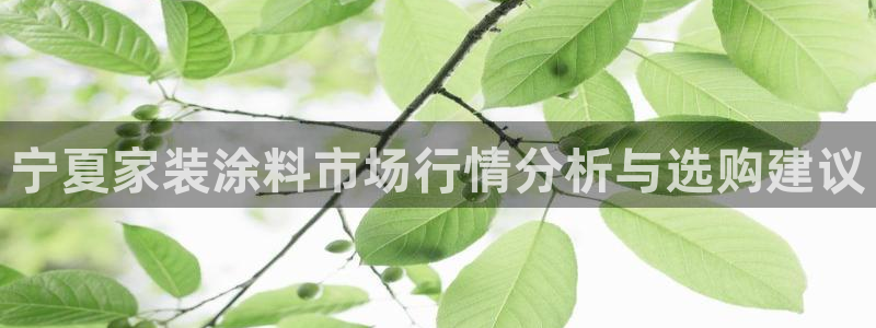 和记广告女主角：宁夏家装涂料市场行情分析与选购建议
