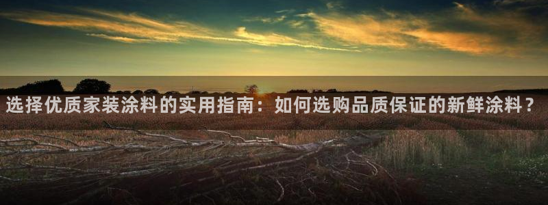 和记国际官网官网
