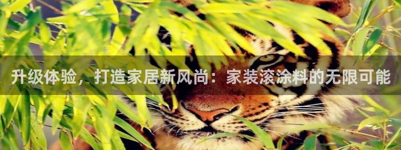 和记注册有什么送的：升级体验，打造家居新风尚：家装滚涂料的无限可能