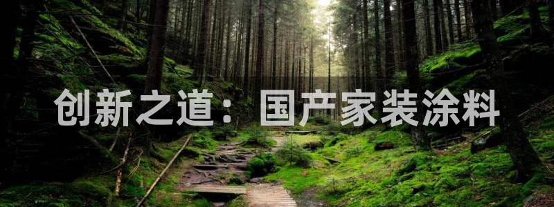 和记AG：创新之道：国产家装涂料