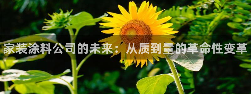 和记ag网页版