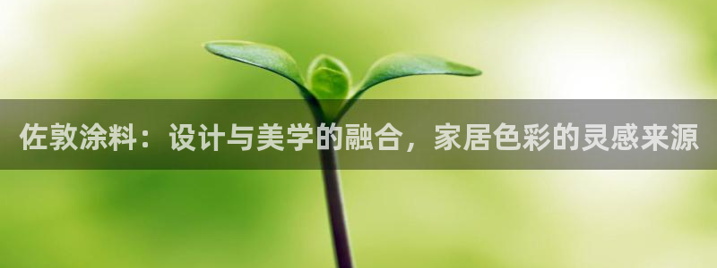 和记Ag：佐敦涂料：设计与美学的融合，家居色彩的灵感来源