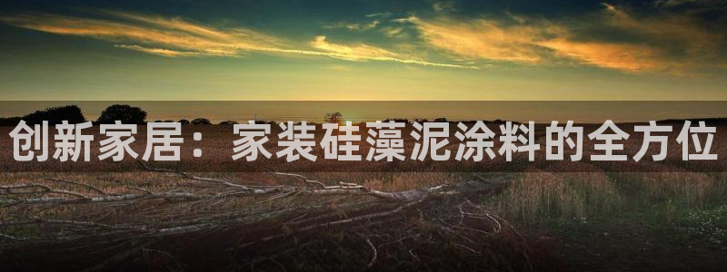 和记ag旗舰国际：创新家居：家装硅藻泥涂料的全方位