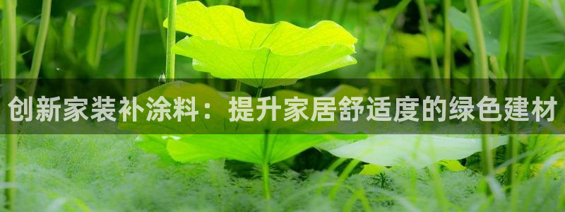 和记paging：创新家装补涂料：提升家居舒适度的绿色建材