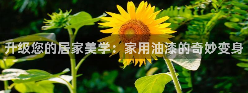 和记AG旗舰：升级您的居家美学：家用油漆的奇妙变身