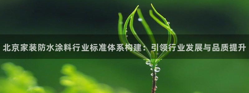 和记官方网站：北京家装防水涂料行业标准体系构建：引领行业发展