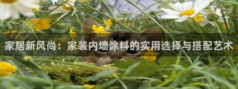 和记5g电讯：家居新风尚：家装内墙涂料的实用选择与搭配艺术