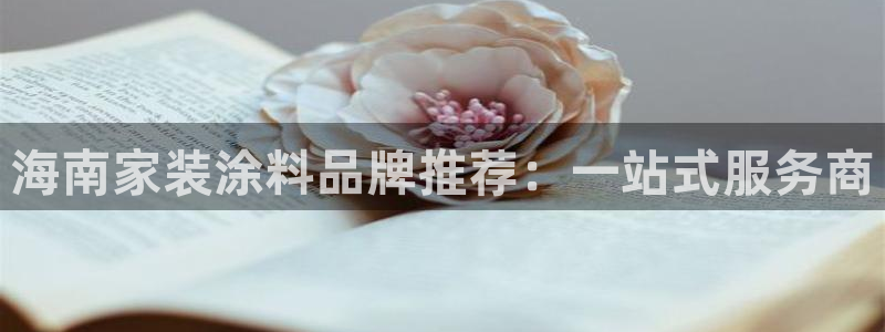 和记ag旗舰：海南家装涂料品牌推荐：一站式服务商