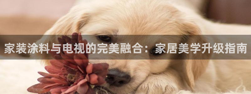 和记H88：家装涂料与电视的完美融合：家居美学升级指南