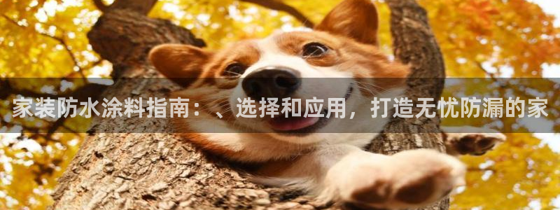 和记国际开户网站