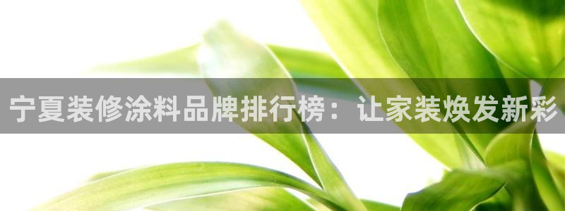 和记下载：宁夏装修涂料品牌排行榜：让家装焕发新彩