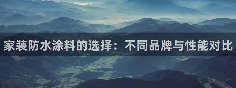 和记国际听：家装防水涂料的选择：不同品牌与性能对比