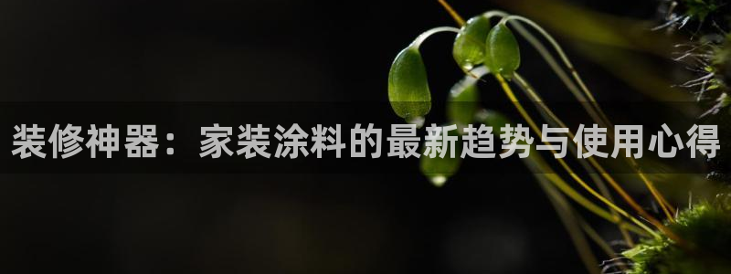 和记官网 公司