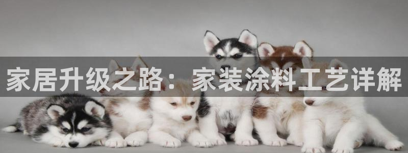 和记电业集团：家居升级之路：家装涂料工艺详解