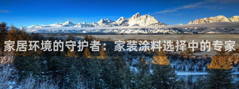 和记网页：家居环境的守护者：家装涂料选择中的专家