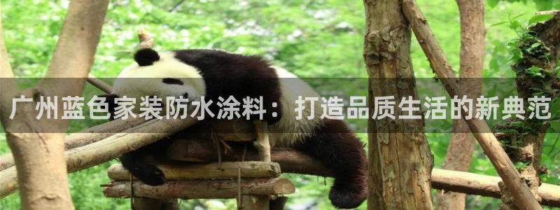 和记paging：广州蓝色家装防水涂料：打造品质生活的新典范